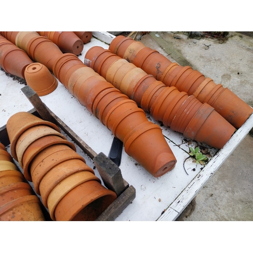 30 - Large collection of terracotta pots {10cm H x 10cm Dia.}