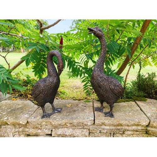 22 - Pair of good quality bronze models of Geese  { H 71cm x W 37cm x D 23cm & H 55cm x W 44cm x D 23cm }