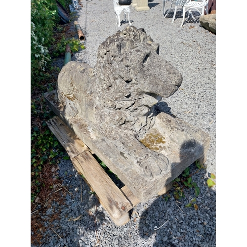 8 - 19th C. weathered compositon model of recumbent Lion. {79 cm H x 150 cm W x 62 cm D}.