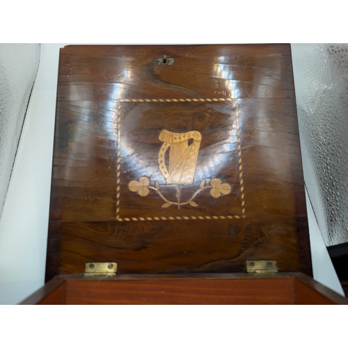 1 - 19th C. Irish Killarney wood arbutus and marquetry box inlaid with Shamrocks and vignette of Muckros... 