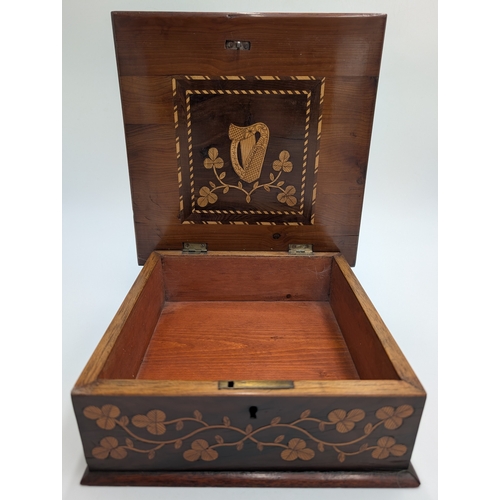 10 - 19th C. Irish  Killarney wood arbutus and marquetry box inlaid with Shamrocks and vignette of Muckro... 