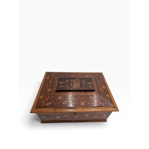 11 - 19th C. Irish Killarney wood arbutus and marquetry box inlaid with Shamrocks and vignette with Harp ... 