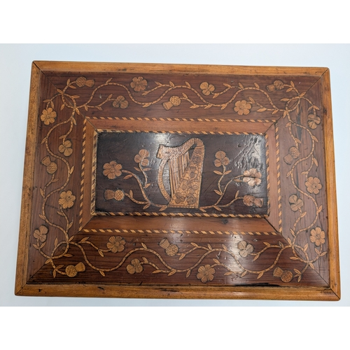 11 - 19th C. Irish Killarney wood arbutus and marquetry box inlaid with Shamrocks and vignette with Harp ... 