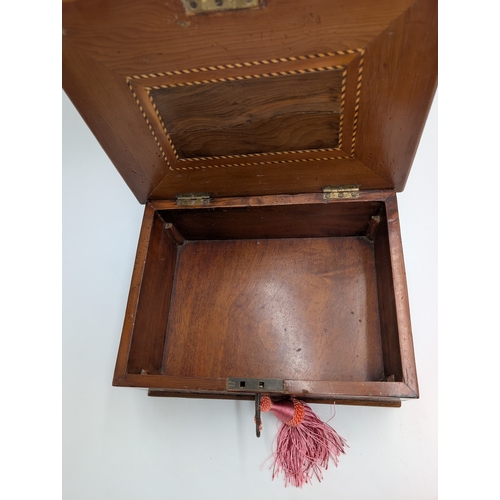 11 - 19th C. Irish Killarney wood arbutus and marquetry box inlaid with Shamrocks and vignette with Harp ... 