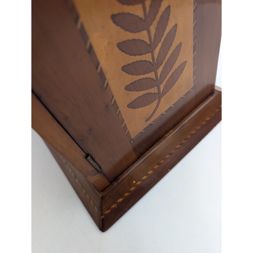 142 - 19th C. Irish Killarney wood arbutus and marquetry cabinet, the lid inlaid with vignette of Glena Co... 