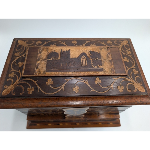 24 - 19th C. Irish Killarney wood arbutus and marquetry jewellery box, the lid inlaid with  Shamrocks and... 