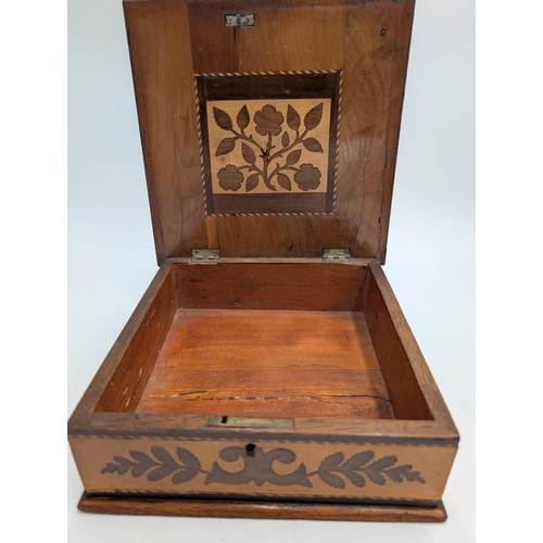 25 - 19th C. Irish Killarney wood arbutus and marquetry box the lid inlaid with Ivy Leaf and vignette of ... 