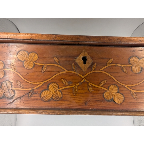 4 - 19th C. Irish Killarney wood arbutus and marquetry box inlaid with ferns and Shamrocks and vignette ... 
