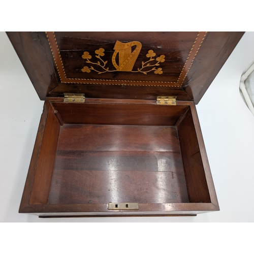 45 - 19th C. Irish Killarney wood arbutus and marquetry  box inlaid with Shamrocks  and oval vignettes of... 