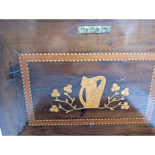 45 - 19th C. Irish Killarney wood arbutus and marquetry  box inlaid with Shamrocks  and oval vignettes of... 