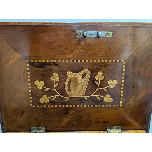 50 - 19th C. Irish Killarney wood arbutus and marquetry jewellery box inlaid with vignettes of Muckross A... 