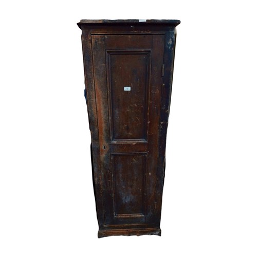 443 - Early 20th C. Irish scumbled pine meat safe with single long panelled door. {158 cm H x 28 cm D}