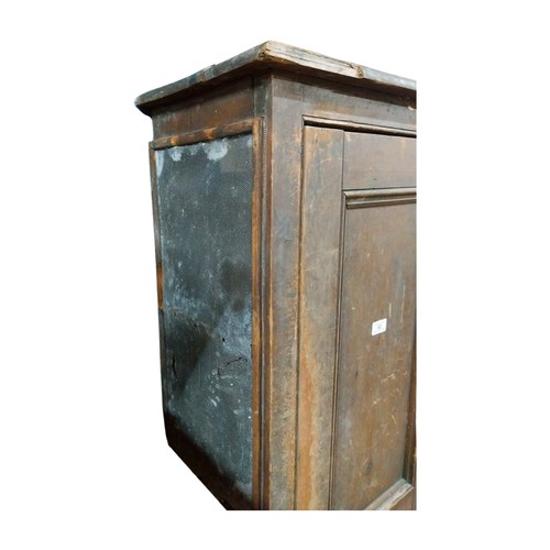 443 - Early 20th C. Irish scumbled pine meat safe with single long panelled door. {158 cm H x 28 cm D}