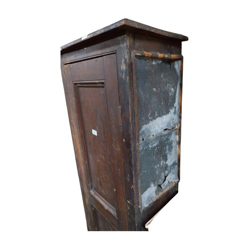443 - Early 20th C. Irish scumbled pine meat safe with single long panelled door. {158 cm H x 28 cm D}