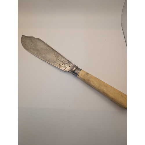Lot 28        