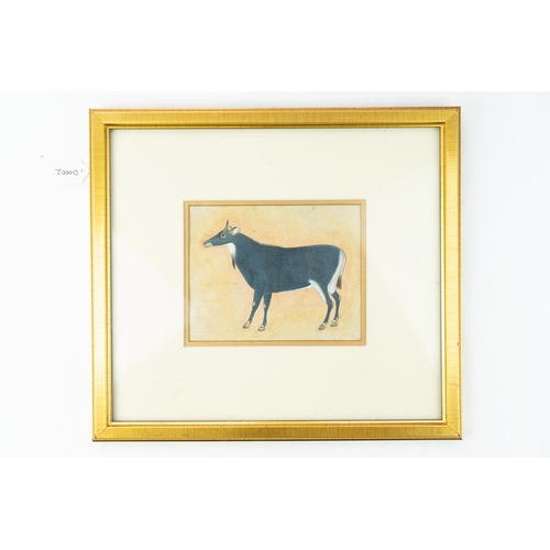 225 - A MUGHAL PAINTING, INDIA, 19TH-20TH CENTURY 
A painting on wove paper depicting a Nilgai Antelope (l... 