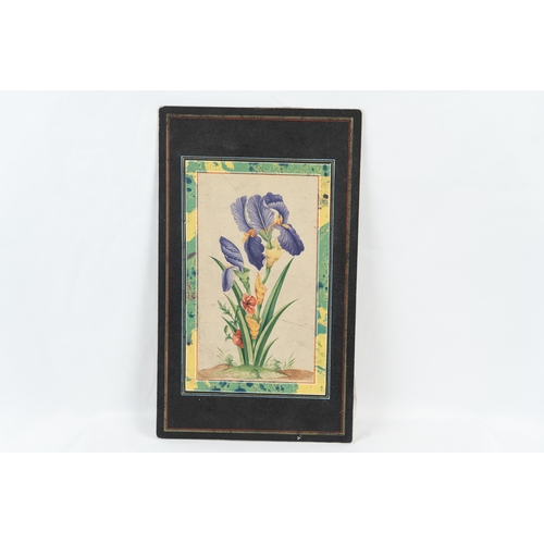 123 - PURPLE IRIS FLOWER BOTANICAL PAINTING
A purple iris flower depicted on paper, an artistic botanical ... 