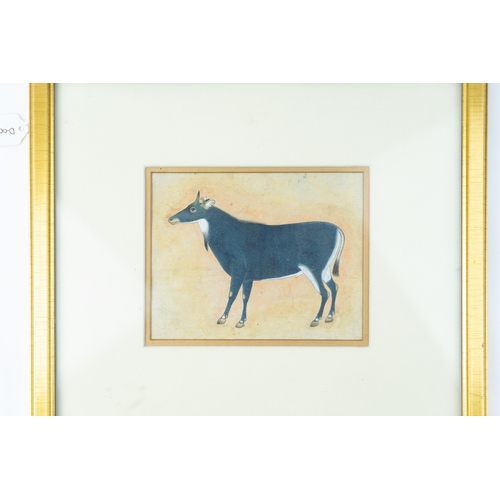 225 - A MUGHAL PAINTING, INDIA, 19TH-20TH CENTURY 
A painting on wove paper depicting a Nilgai Antelope (l... 