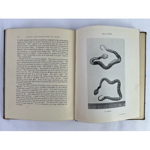 95 - A PRINTED BOOK IN ENGLISH  SNAKES AND SNAKE BITE IN IRAQ NORMAN L. CORKILL
M.B., Ch.B., F.Z.S. Publi... 