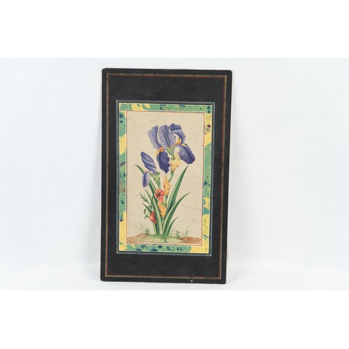 158 - PURPLE IRIS FLOWER BOTANICAL PAINTING
A purple iris flower depicted on paper, an artistic botanical ... 