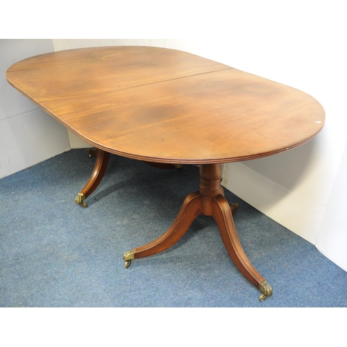 216 - Mahogany D-end two pod dining room table on three splayed legs with brass castors by O'Connell's of ... 