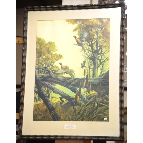 222 - Large framed coloured print 
