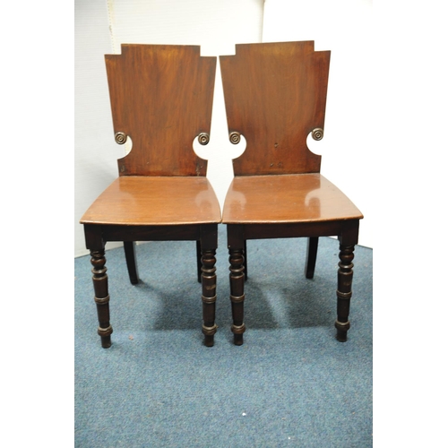 Lot 242       