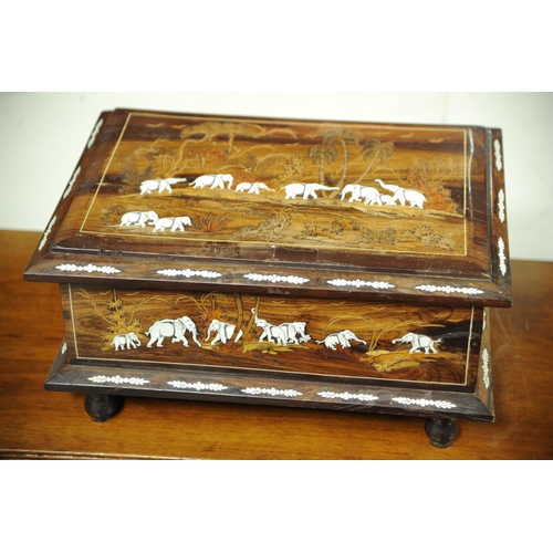 Lot 246       