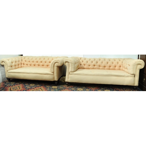Lot 271       
