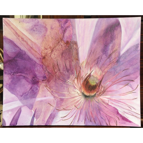 Lot 291       