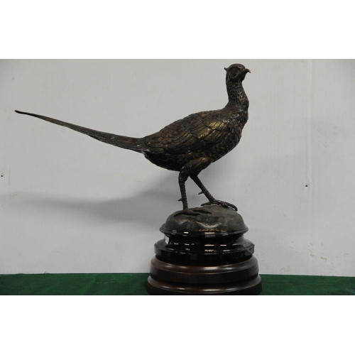 157 - Bronze Pheasant mounted on base (17