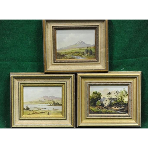 216 - Three Gilt framed Miniature Oil Paintings of various Irish Scenes by Fred Gruizinga.