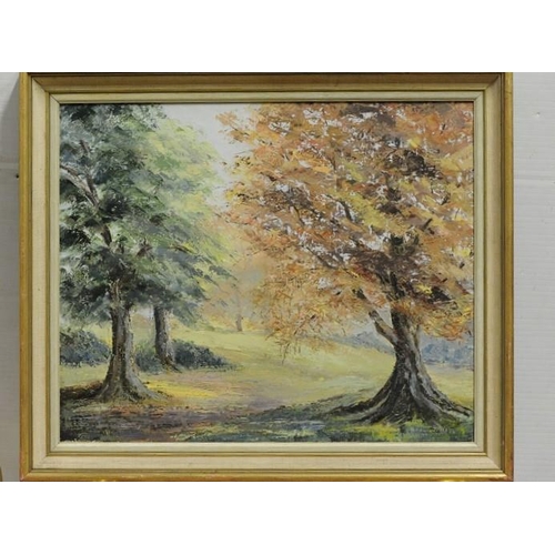 218 - Gilt framed Oil on Canvas 