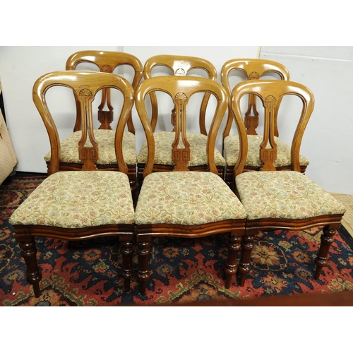 258 - Set of six Victorian Mahogany Balloon backed upholstered Diningroom Chairs on turned and sabre legs.