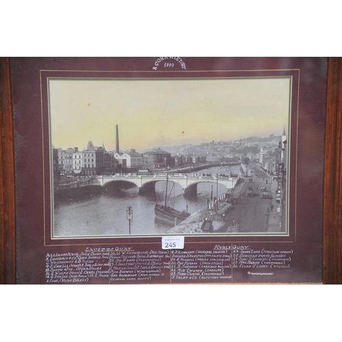 245 - Framed Coloured photograph 