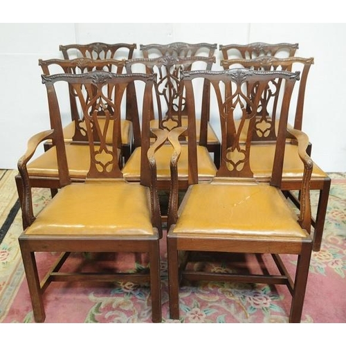 246 - Set of 8 Mahogany Irish Chippendale style Diningroom Chairs with hide upholstered seats and includin... 