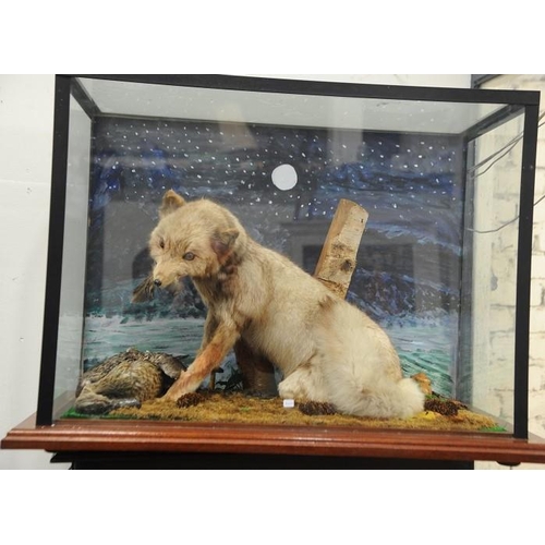 47 - A Taxidermy Stuffed Fox in glass Display Cabinet on timber base