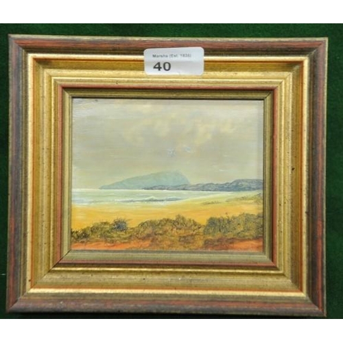 40 - Two gilt framed miniature Oil Paintings of West Cork Harbour Scene and Waterville Bay, Co. Kerry (si... 