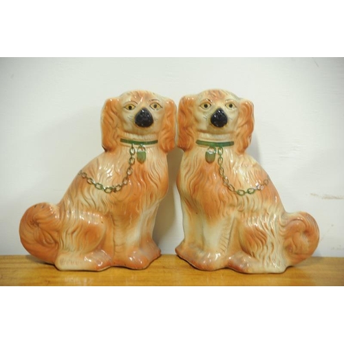 62 - Pair of Staffordshire China Dogs.