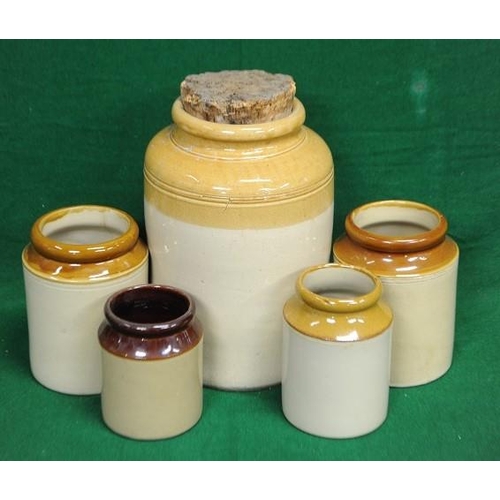 Large Earthenware Jar and four other earthenware Jars