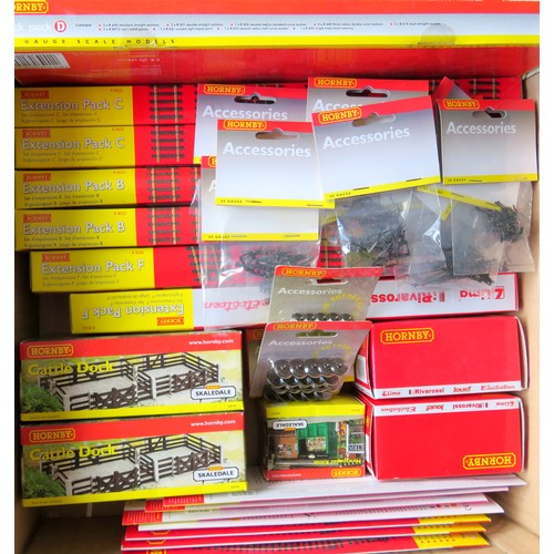 301 - HORNBY 00 gauge Accessories and Track to include: Track Extension Packs 2 x R8222 (Pack B), 2 x R822... 