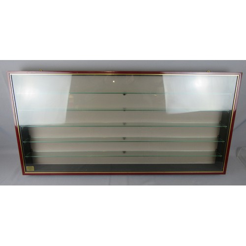 578 - PICTURE PRIDE wall mounted model display case, 41