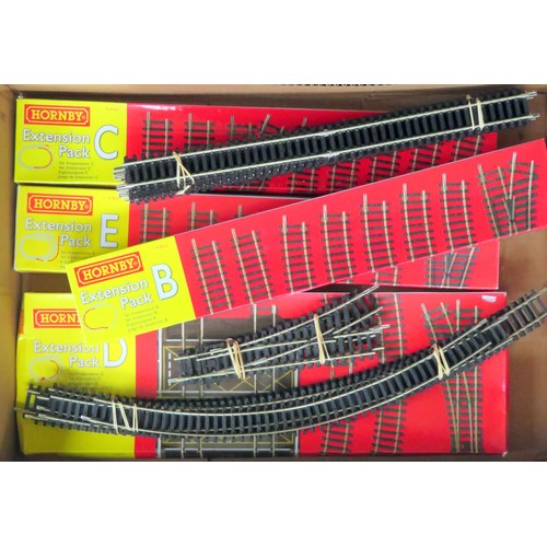 151 - HORNBY 00 gauge Track comprising: Extension Packs R8222 Pack B, R8223 Pack C, R8224 Pack D, R8225 Pa... 