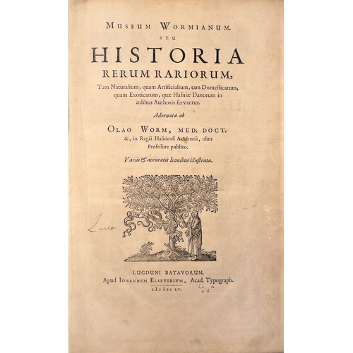 47 - Worm (Ole), Museum Wormianum seu Historia Rerum Rariorum, FIRST EDITION, engraved portrait frontisp... 