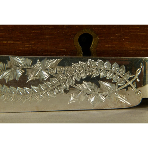 208 - A LATE VICTORIAN MAHOGANY CANTEEN of twelve silver plated and ivory handled fish knives and forks by... 