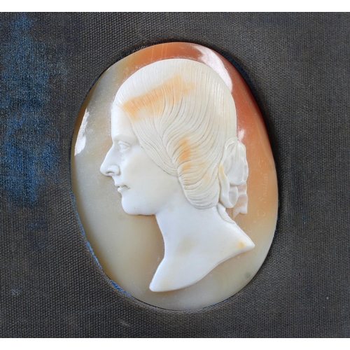 252 - A FINE PAIR OF LATE 19TH/EARLY 20TH CENTURY OVAL SHELL CAMEOS, portrait heads of a gentleman and his... 