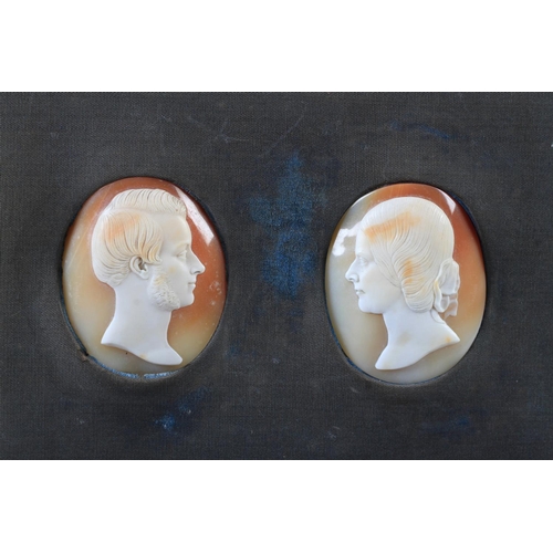 252 - A FINE PAIR OF LATE 19TH/EARLY 20TH CENTURY OVAL SHELL CAMEOS, portrait heads of a gentleman and his... 