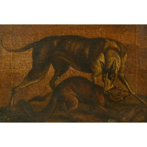 413 - EUROPEAN SCHOOL (Late 18th/Early 19th Century) - Hunting dog with its mouth around a fox's head, oil... 