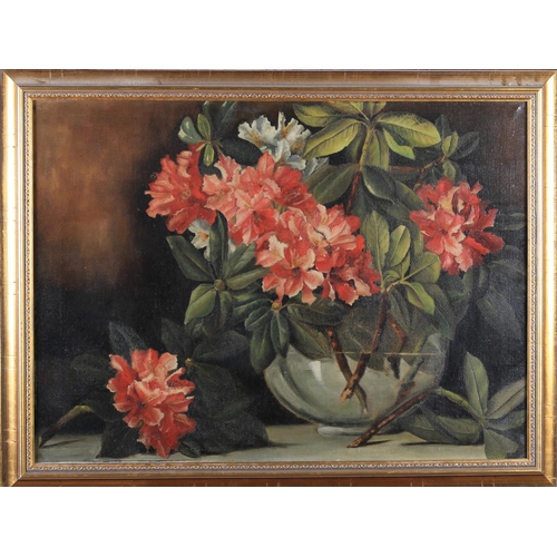 427 - CONSTANCE EMMA CADOUX (Brown Kelly) Still life of rhododendron held in a glass bowl, oil on canvas, ... 