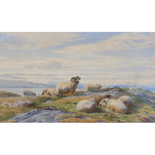 447 - HENRY BIRTLES (1838-1907), a pair, sheep and highland cattle in extensive mountainous landscapes, wa... 